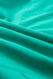 Green Ruffle Sleeve Button Up Short Dress